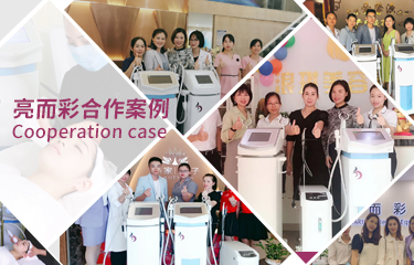 亮而彩TVR美學系統項目——合作模式