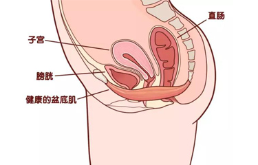 月子會(huì)所盆底肌儀器有用嗎？選擇月子會(huì)所有什么好處？