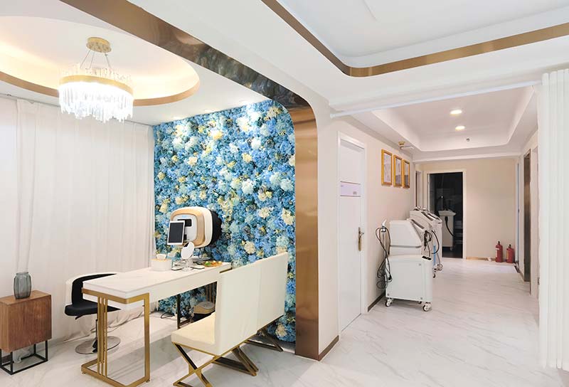 美容院面部檢測儀器常用的有哪些?基本功能是什么?